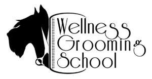 Wellness Grooming School - Scuola di Formazione Professionale Certificata per Toelettatori