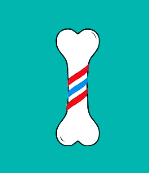 LulapetToelettatura_SICILIA_GELA